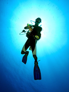 "The Diver" by Henry Jager 